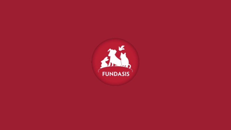 Fundasis